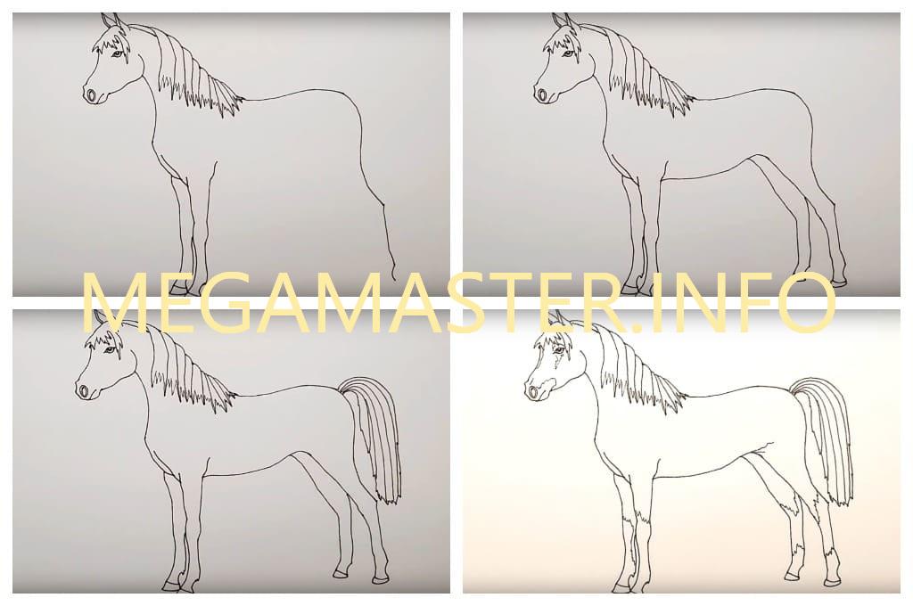 Рисуем лошадь быстро и красиво (Шаг 3)