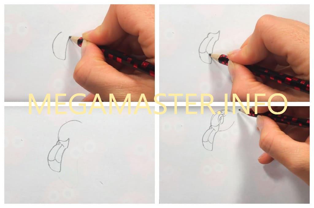 Как нарисовать фламинго карандашом (Шаг 1)