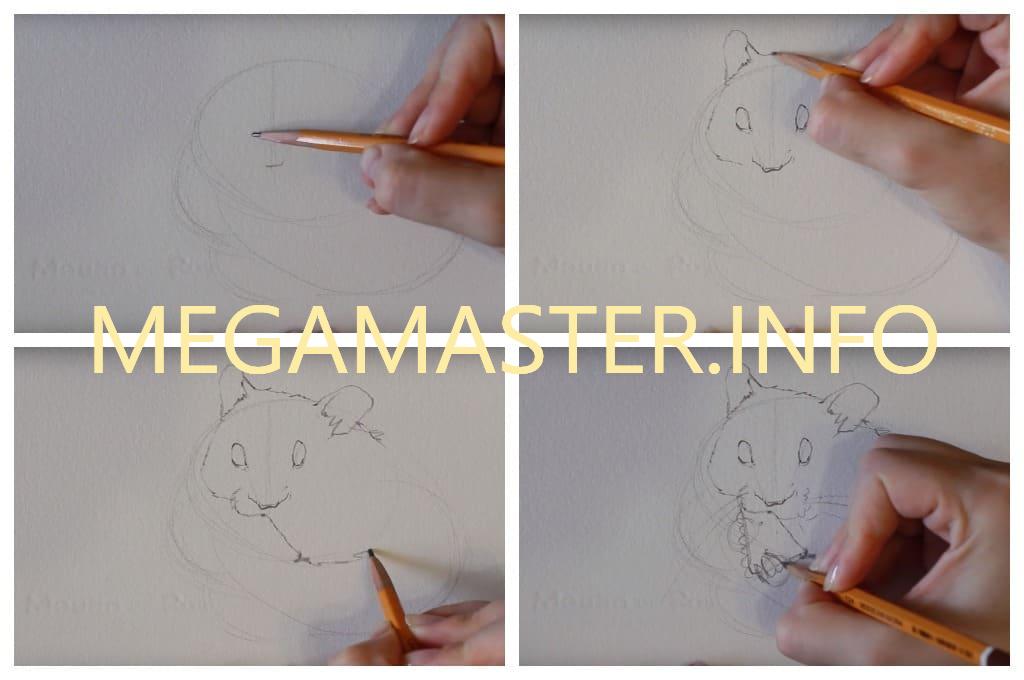 Как нарисовать хомяка карандашом для детей (Шаг 1)
