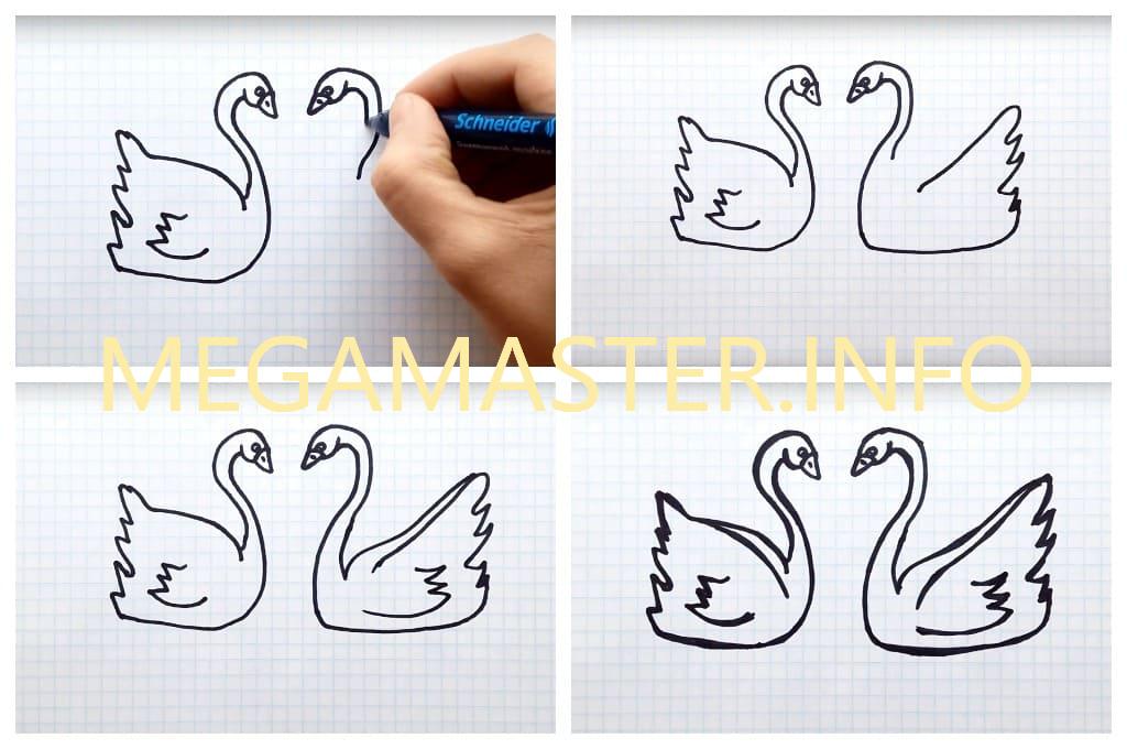 Красивая пара лебедей простым способом (Шаг 2)