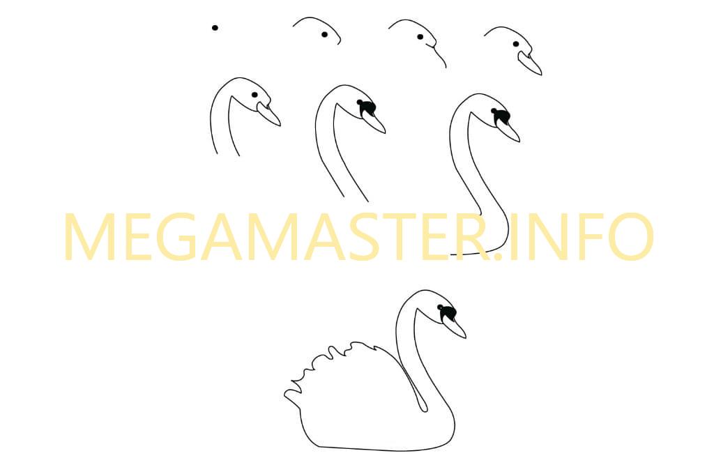 Простая схема рисунка лебедя