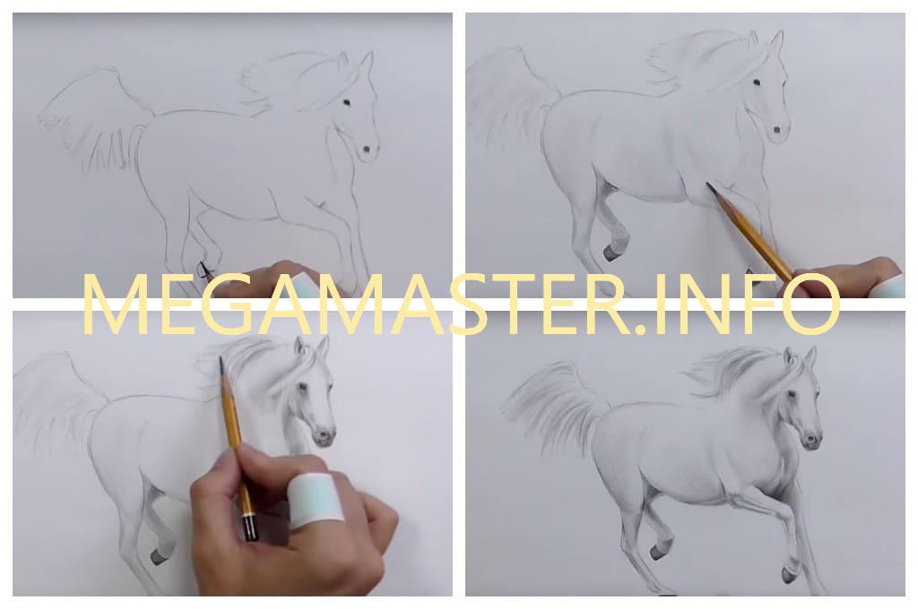 Рисунок реалистичного коня (Шаг 3)
