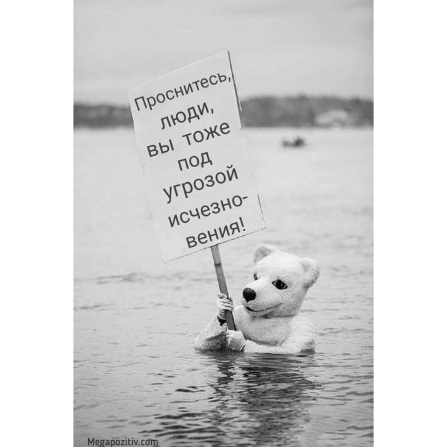 Проблемы окружающей среды картинки