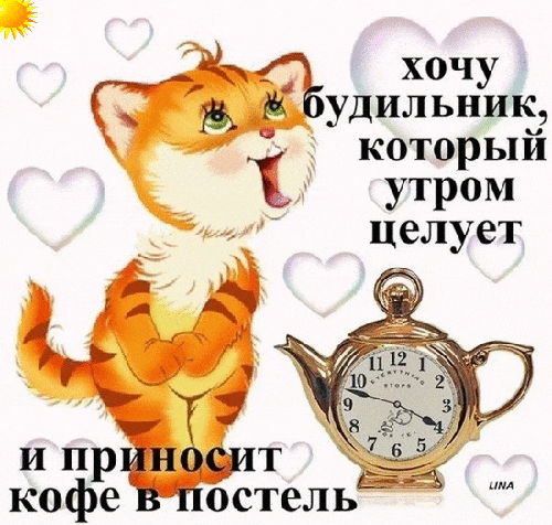Картинки прикольные смешные