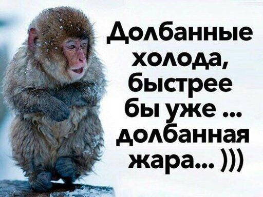 Картинки прикольные смешные
