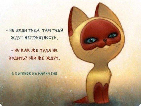 Картинки прикольные смешные