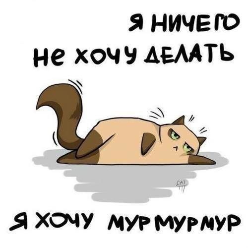 Картинки смешные