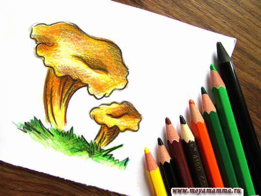 Лисички карандашами