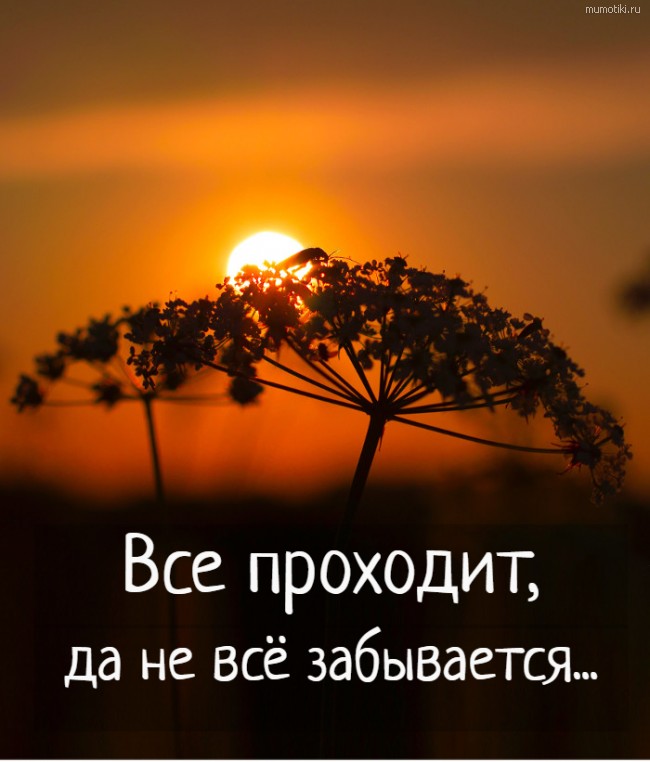 Все проходит, да не всё забывается... Все проходит, да не всё забывается...