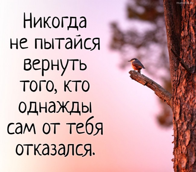 Никогда не пытайся вернуть того, кто однажды сам от тебя отказался. Никогда не пытайся вернуть того, кто однажды сам от тебя отказался.