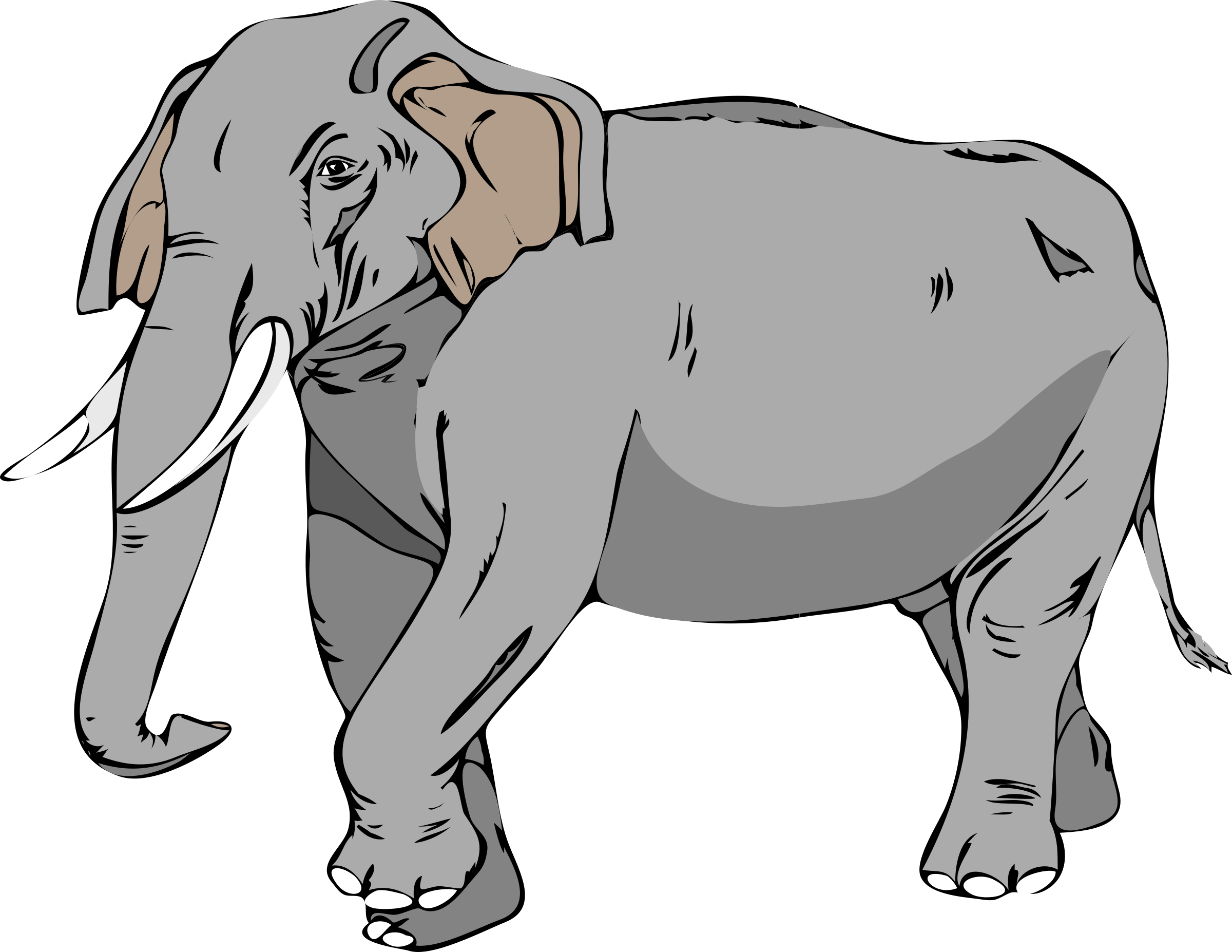 Картинка слон для детей на прозрачном фоне. Слон мультяшный. Слоны мультяшные. Слон иллюстрация. Слон картинка для детей.