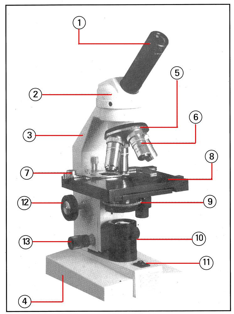 Microscope construction