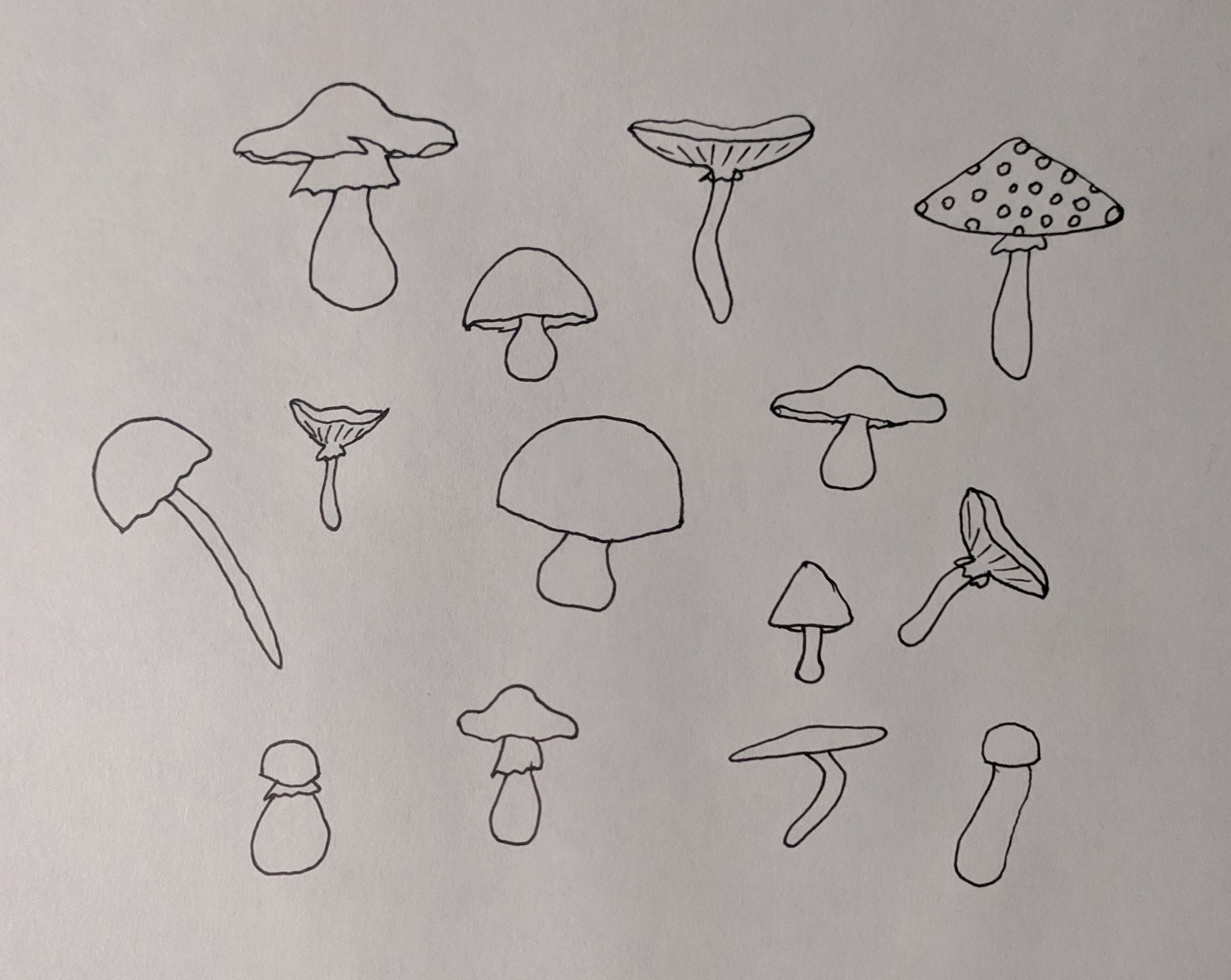 Рисунок гриба 5 класс. Рисование грибы. Грибы для срисовки. Рисунки для срисовки грибы. Рисунок гриба карандашом для срисовки.