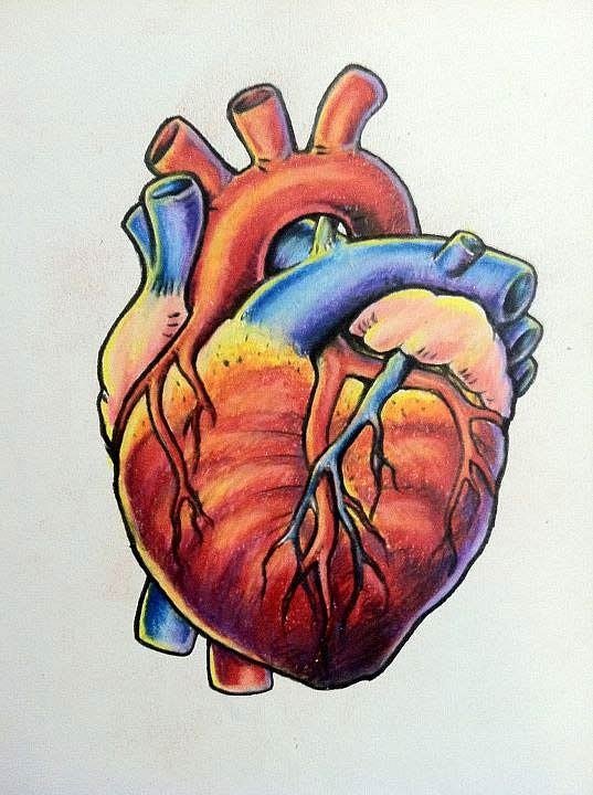 Половина сердца рисунок