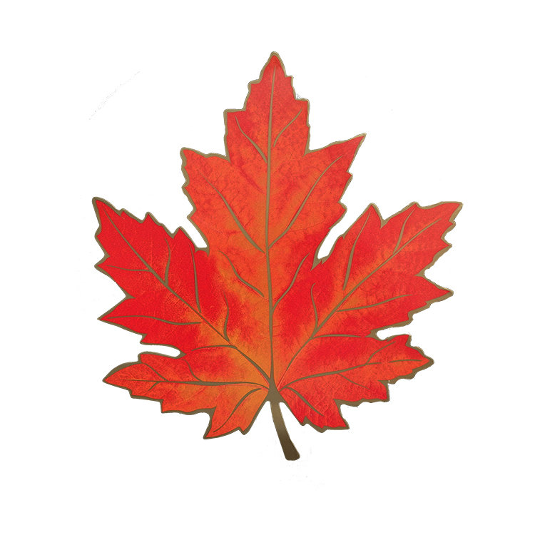 Листья для оформления класса. Кленовый лист. Осенние листочки. Красный кленовый лист. Цветной лист.