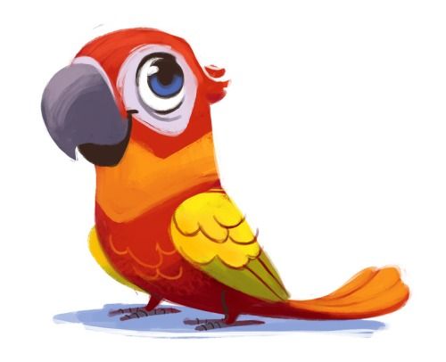 Красивые картинки и рисунки попугаев для срисовки для детей 1