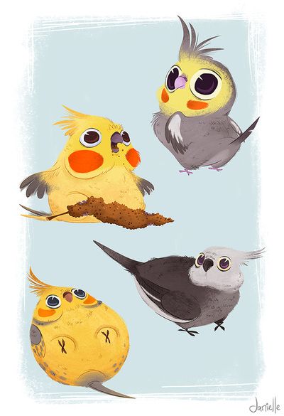 Красивые картинки и рисунки попугаев для срисовки для детей 10