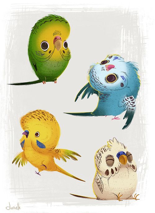 Красивые картинки и рисунки попугаев для срисовки для детей 15