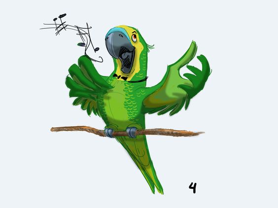 Красивые картинки и рисунки попугаев для срисовки для детей 8