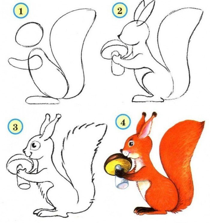 Как нарисовать белку из сказки о Царе Салтане поэтапно рисунки (16)