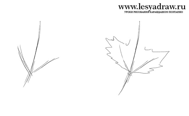 Как поэтапно нарисовать осенний лист карандашом для начинающих   рисунки (7)