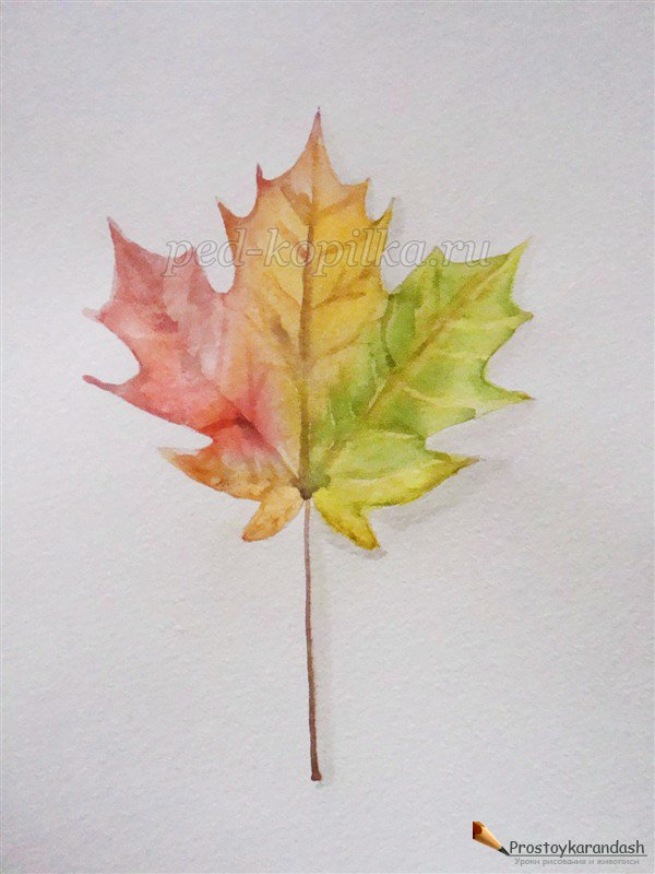 Как нарисовать вазу с осенними листьями поэтапно   подборка (30)