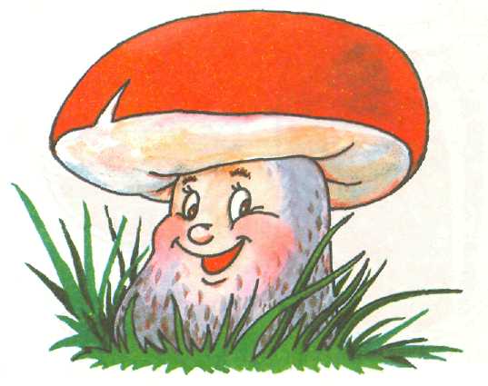 Осенний лес с грибами картинки для детей (13)