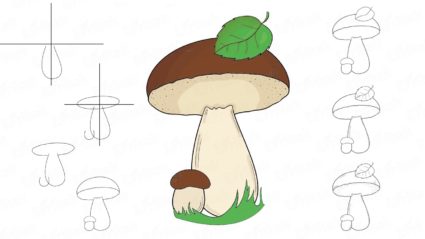 Осенний лес с грибами картинки для детей (17)