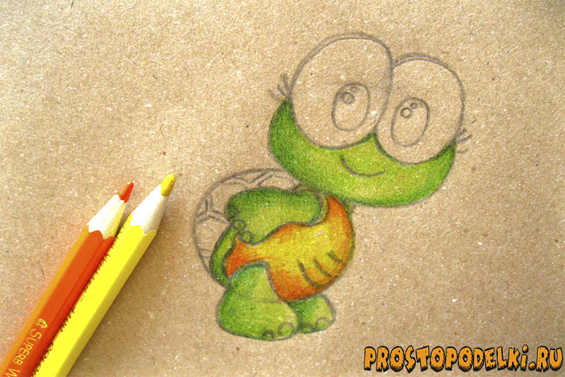 Как нарисовать черепаху-08