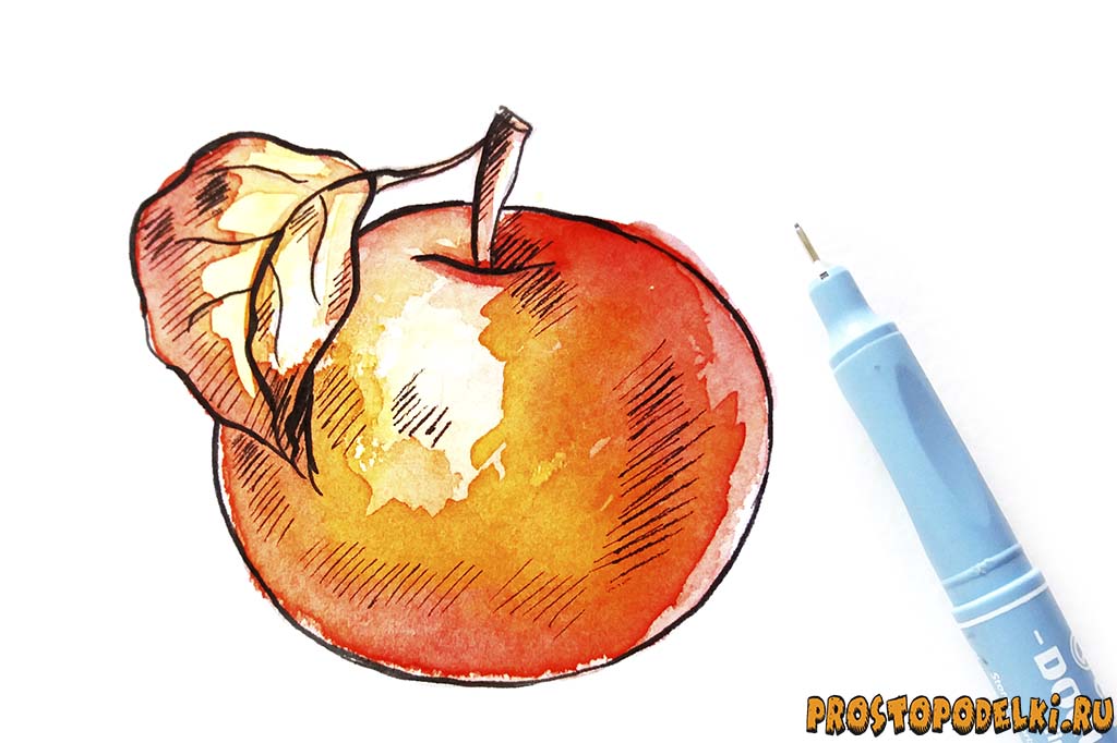 Как нарисовать яблоко акварелью-7
