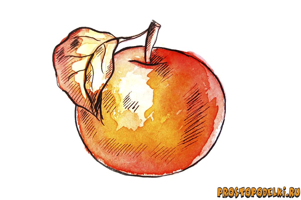 Как нарисовать яблоко акварелью-8