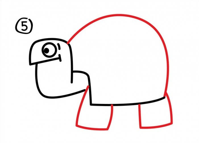 Как нарисовать черепаху карандашом поэтапно, фото 26