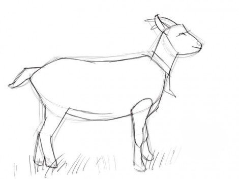 Рисуем козу — символ 2015 года