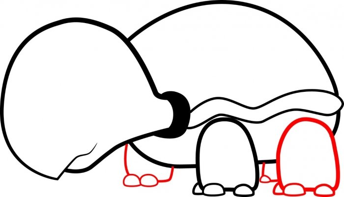 Как нарисовать черепаху карандашом поэтапно, фото 10