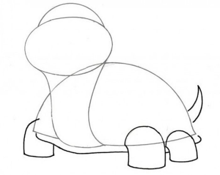 Как нарисовать черепаху карандашом поэтапно, фото 3