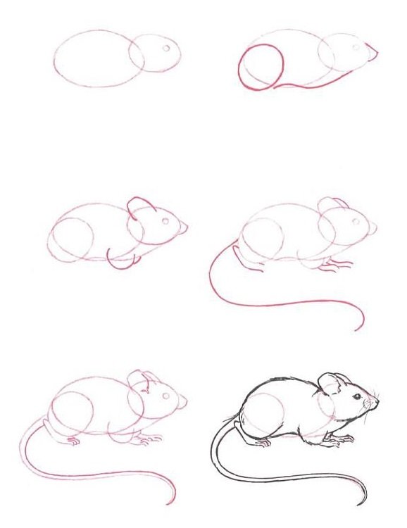 Как нарисовать мышку поэтапно, фото 33