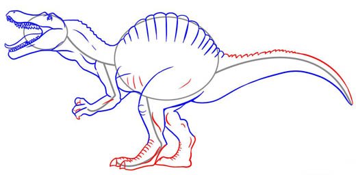 Как нарисовать динозавра Спинозавра, шаг 6