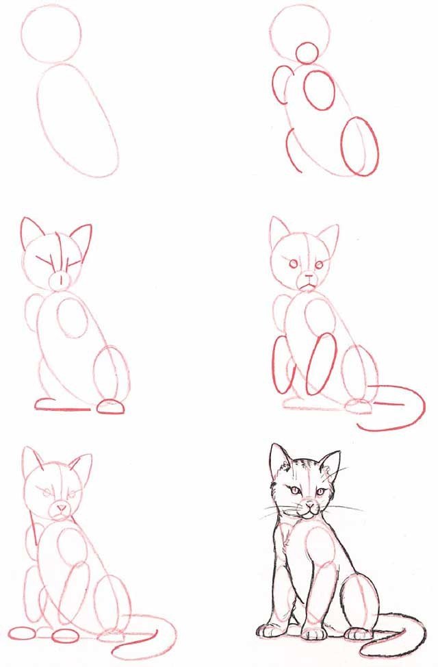 Как нарисовать котенка поэтапно, фото 10