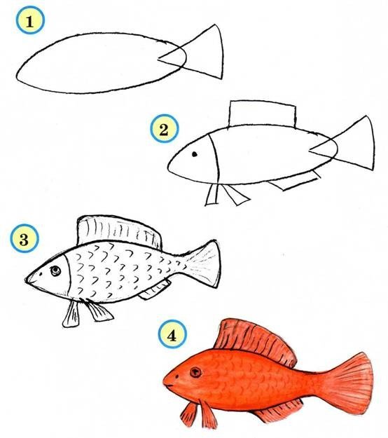 як намалювати рибку схема 2
