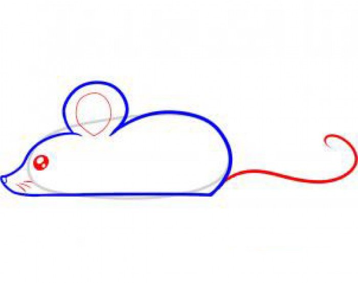 Как нарисовать мышку поэтапно, фото 25