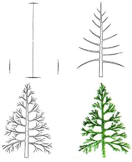 Как нарисовать елку, фото 18