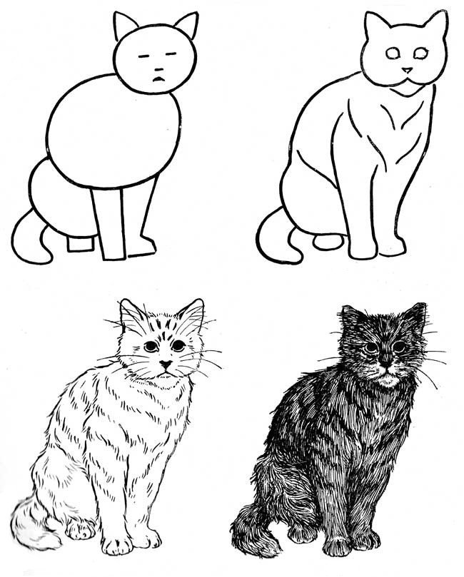 Как нарисовать котенка поэтапно, фото 11