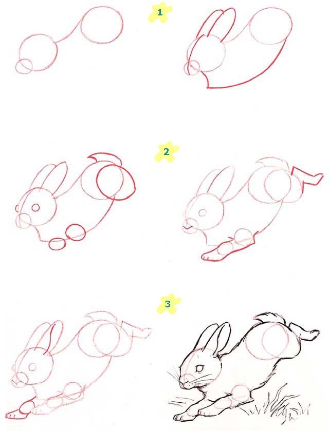 Как нарисовать зайчика поэтапно, фото 11