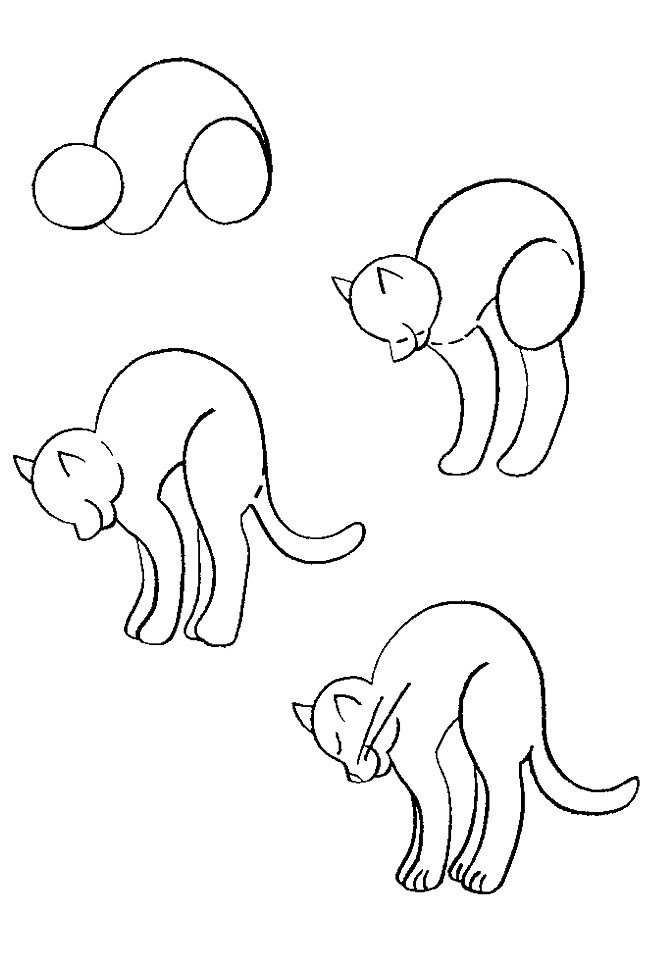 Как нарисовать котенка поэтапно, фото 15