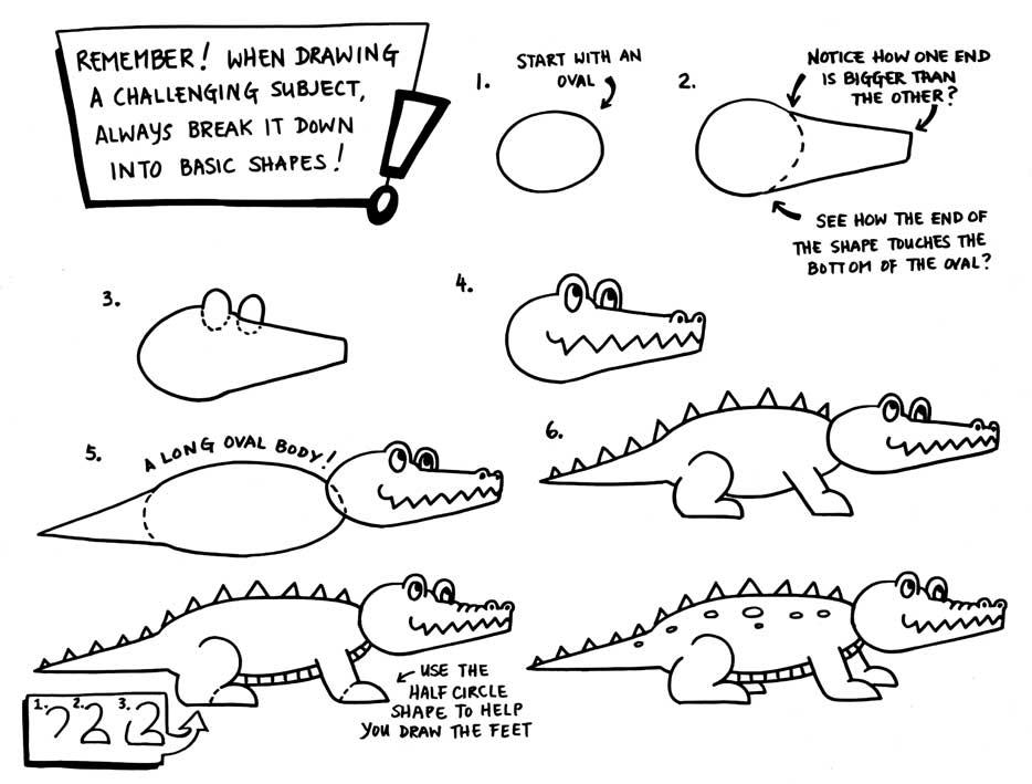 Как рисовать крокодила поэтапно