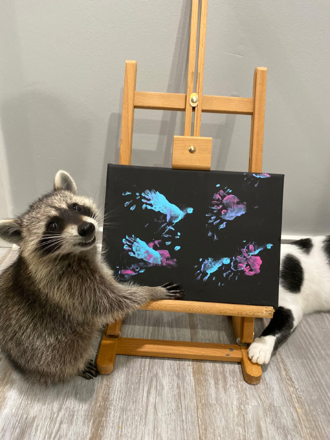 Raccoon painting.