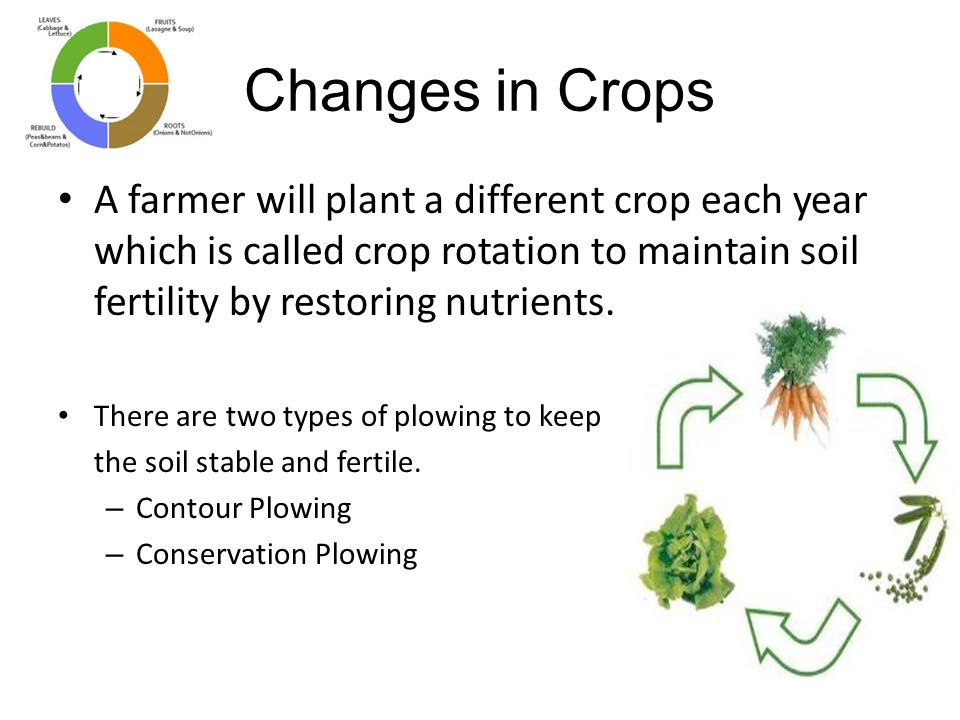 Changes in Crops A farmer will plant a different crop each year which is called crop rotation to maintain soil fertility by restoring nutrients.
