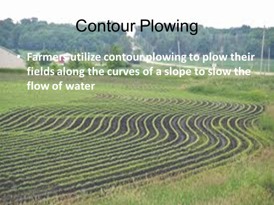 Contour Plowing Farmers utilize contour plowing to plow their fields along the curves of a slope to slow the flow of water.