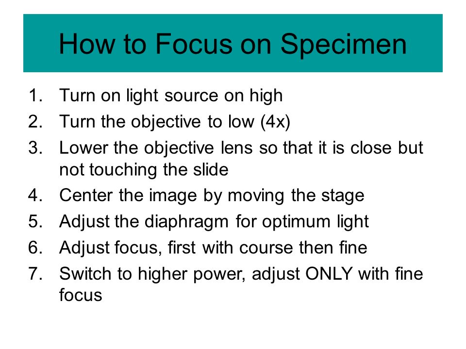 Turn on light source on high. Turn the objective to low (4x) Lower the objective lens so that it is close but not touching the slide. Center the image by moving the stage. Adjust the diaphragm for optimum light. Adjust focus, first with course then fine. Switch to higher power, adjust ONLY with fine focus. How to Focus on Specimen