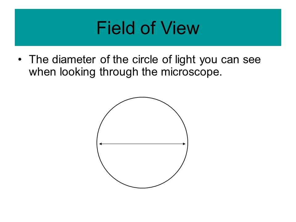 Field of View The diameter of the circle of light you can see when looking through the microscope. Field of View The diameter of the circle of light you can see when looking through the microscope.